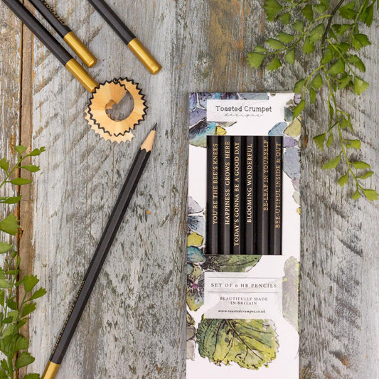 Hydrangea (Pure) Set of 6 Pencils