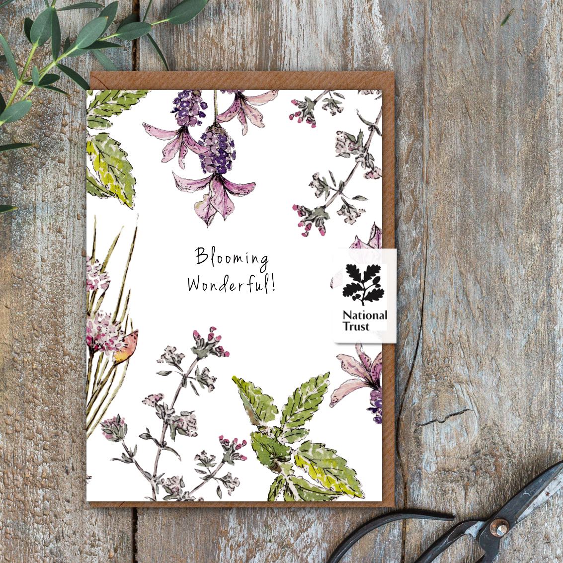 Blooming Wonderful (Garden Herbs Pure) Card (Cello-Free)