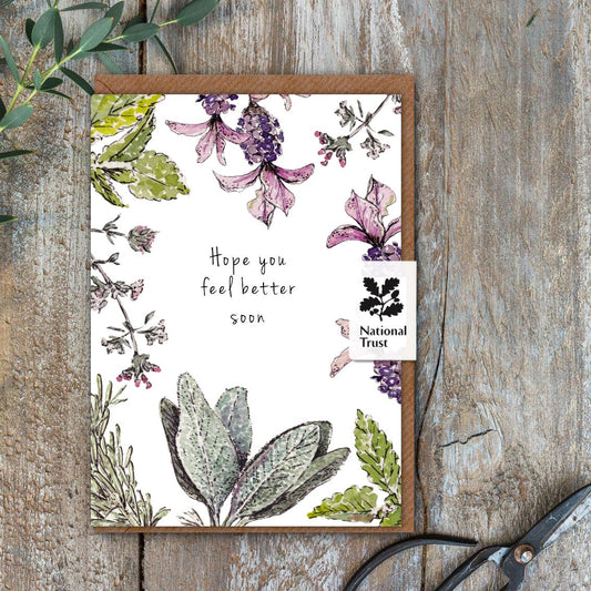 Hope You Feel Better Soon (Garden Herbs Pure) Card (Cello-Free)