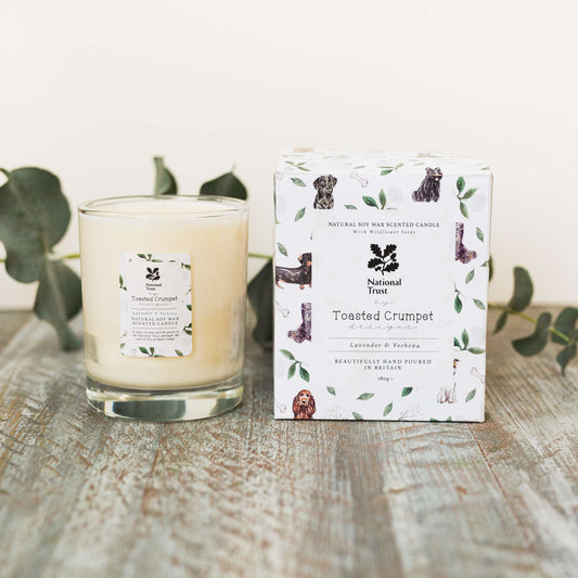 Lavender & Verbena Glass Candle