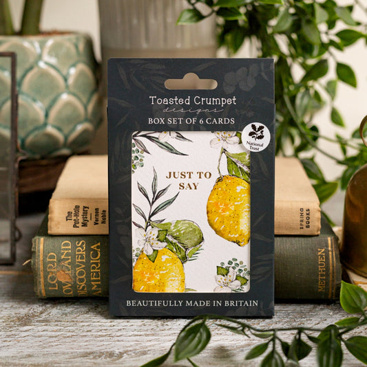 NEW! Just to Say (Lemons Pure) Set of 6 Cards