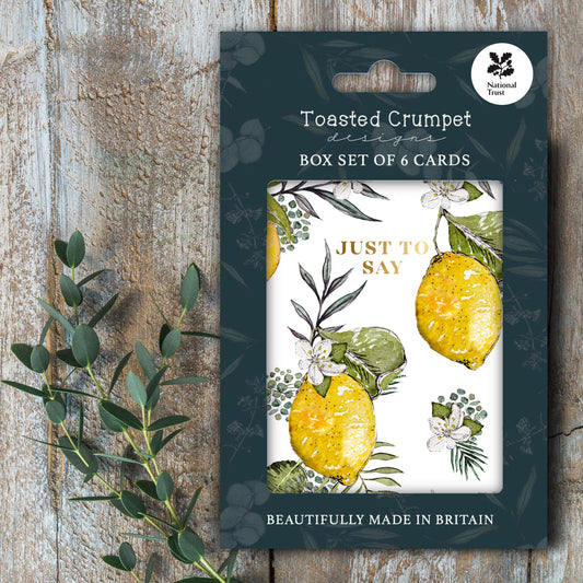 NEW! Just to Say (Lemons Pure) Set of 6 Cards