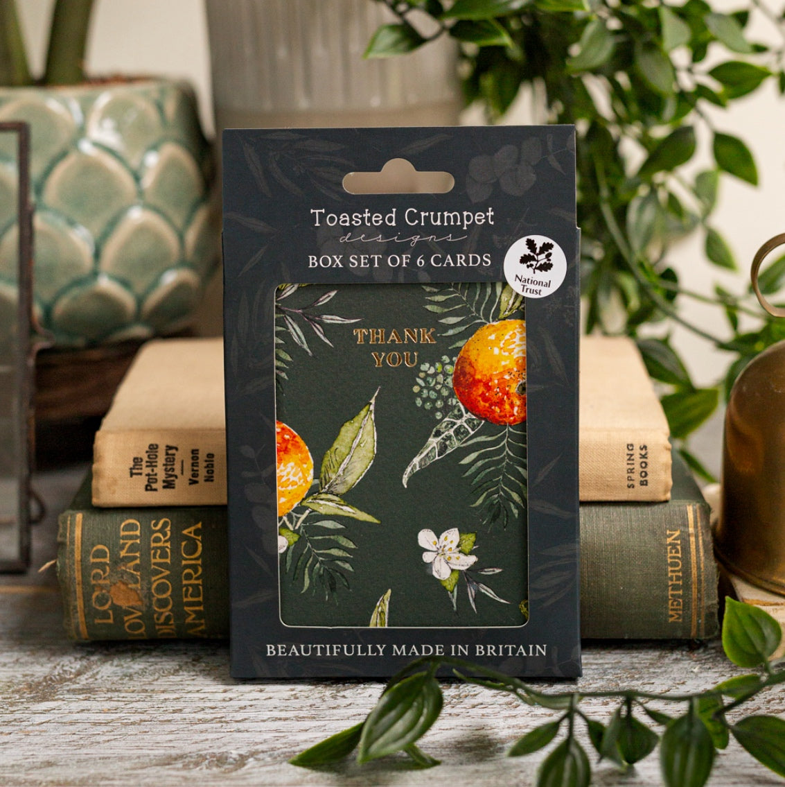 NEW! Thank You (Oranges Noir) Set of 6 Cards