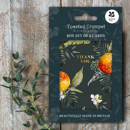 NEW! Thank You (Oranges Noir) Set of 6 Cards