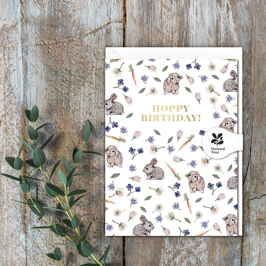 Hoppy Birthday! (Bunnies Pure) Card (Cello-Free)