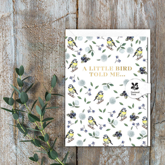 A Little Bird Told Me (Bluetit Pure) Card (Cello-Free)