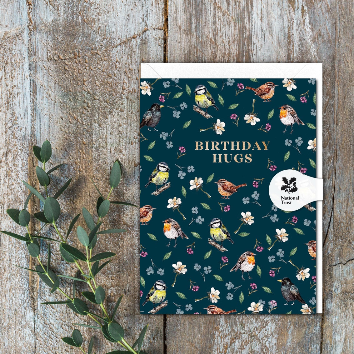 Birthday Hugs (Garden Birds Noir) Card (Cello-Free)