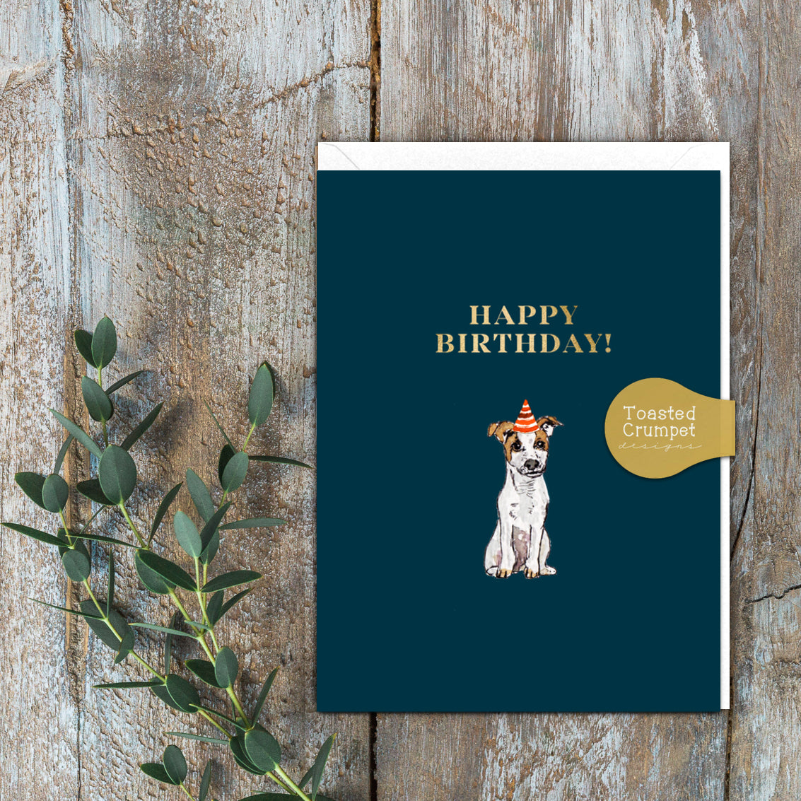 Happy Birthday (Jack Russell) Card (Cello-Free)