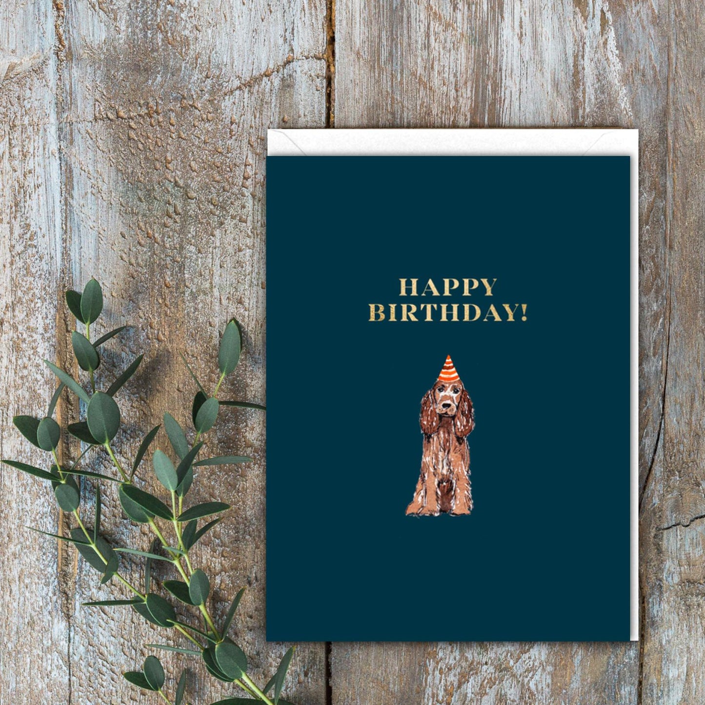 Happy Birthday (Cocker Spaniel) Card (Cello-Free)