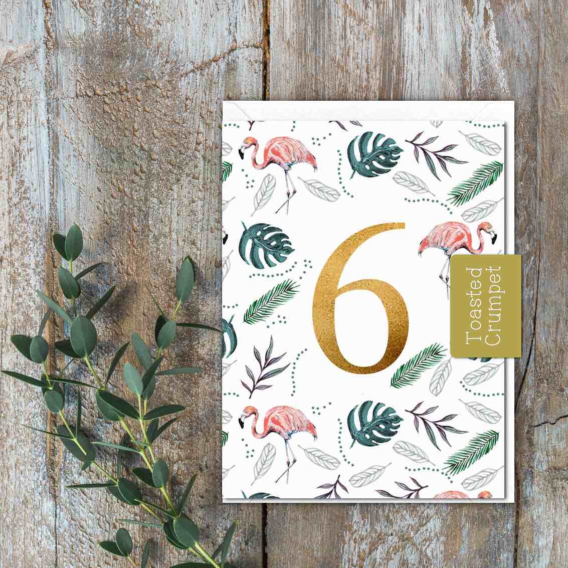 "Six" Birthday Milestone (Flamingo) Card (Cello-Free)