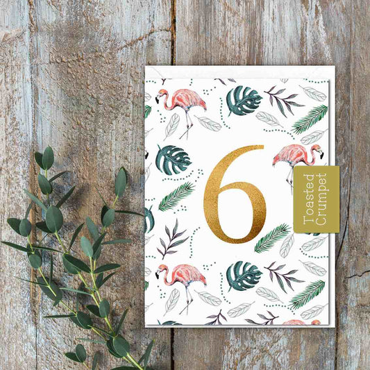 "Six" Birthday Milestone (Flamingo) Card (Cello-Free)