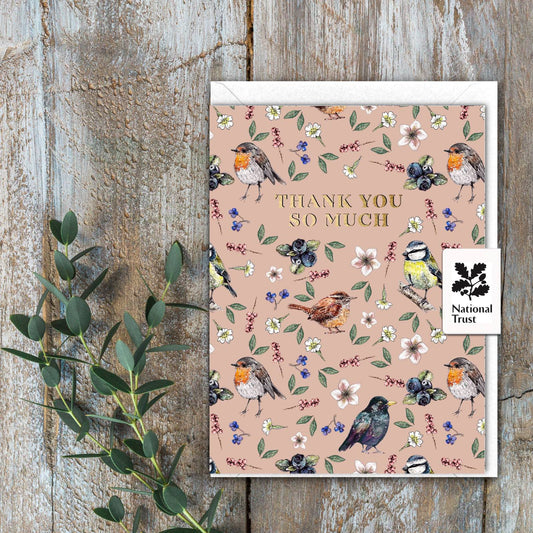 Thank You So Much (Garden Birds) Card (Cello-Free)