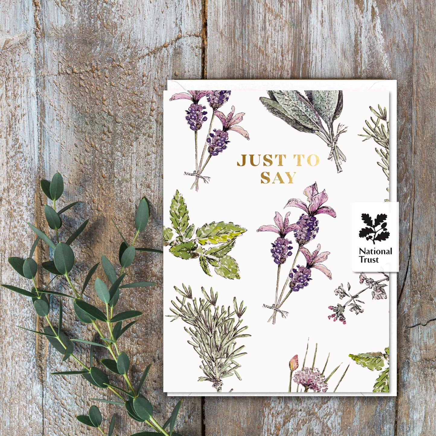 Just To Say (Kitchen Garden Pure) Set of 6 Cards