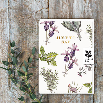 Just To Say (Kitchen Garden Pure) Set of 6 Cards