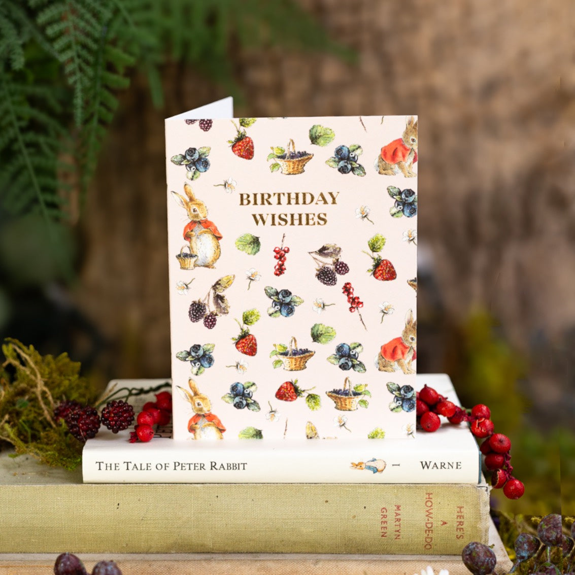Birthday Wishes (Flopsy) Card (Cello-Free)