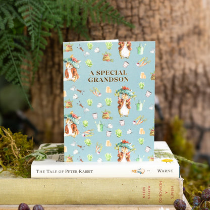 A Special Grandson (Benjamin Bunny) Card (Cello-Free)