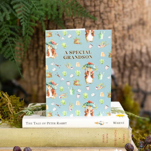 A Special Grandson (Benjamin Bunny) Card (Cello-Free)