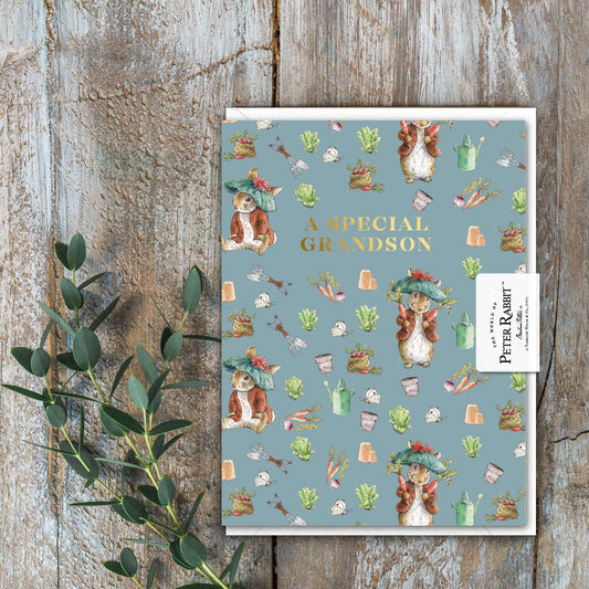A Special Grandson (Benjamin Bunny) Card (Cello-Free)