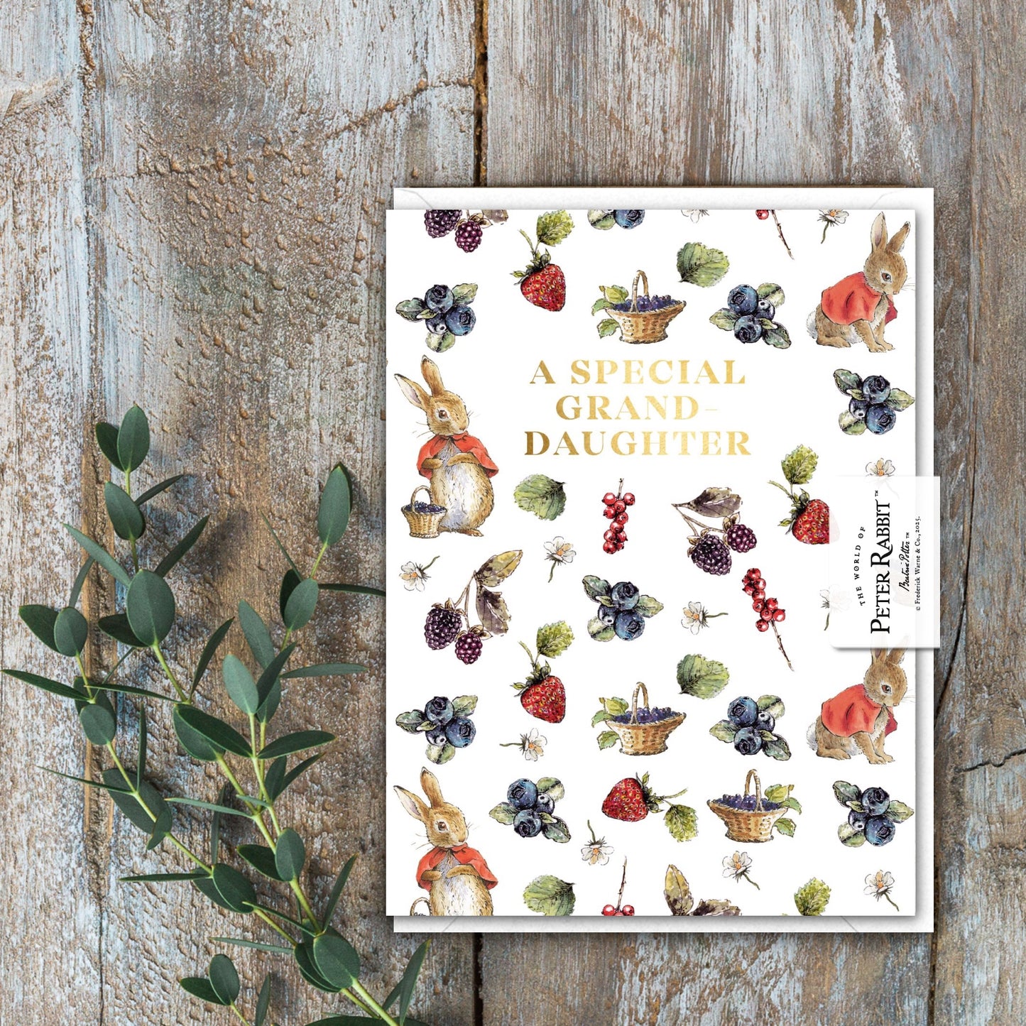 A Special Granddaughter (Flopsy) Card (Cello-Free)