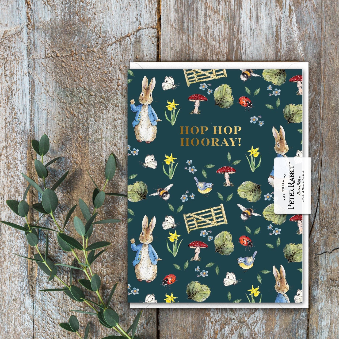 Hop Hop Hooray! (Peter Rabbit) Card (Cello-Free)