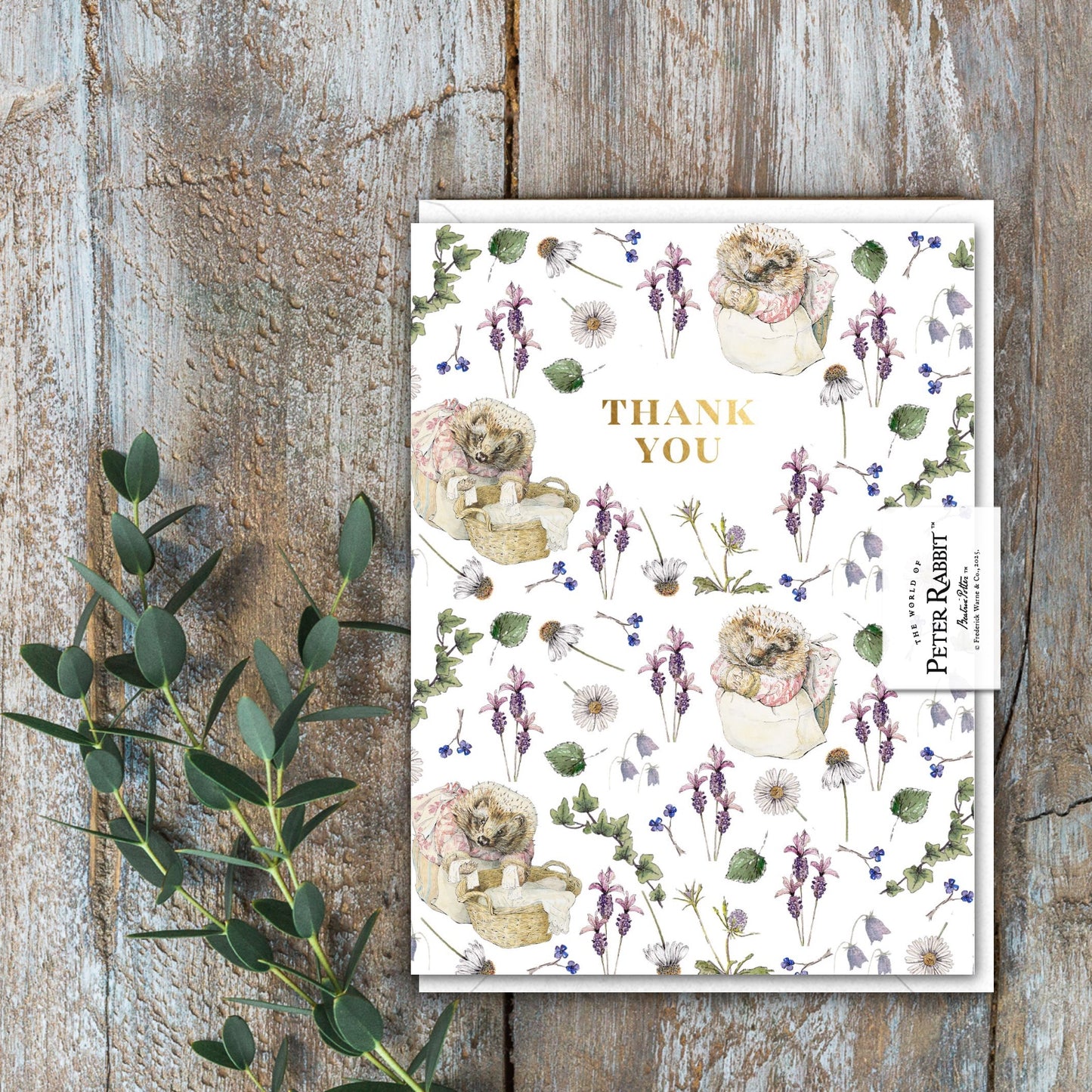 Thank You (Mrs. Tiggy-Winkle) Card (Cello-Free)