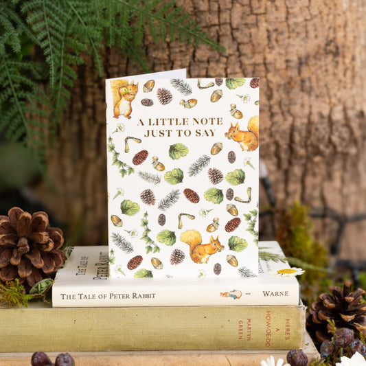 A Little Note Just To Say (Squirrel Nutkin) Card (Cello-Free)