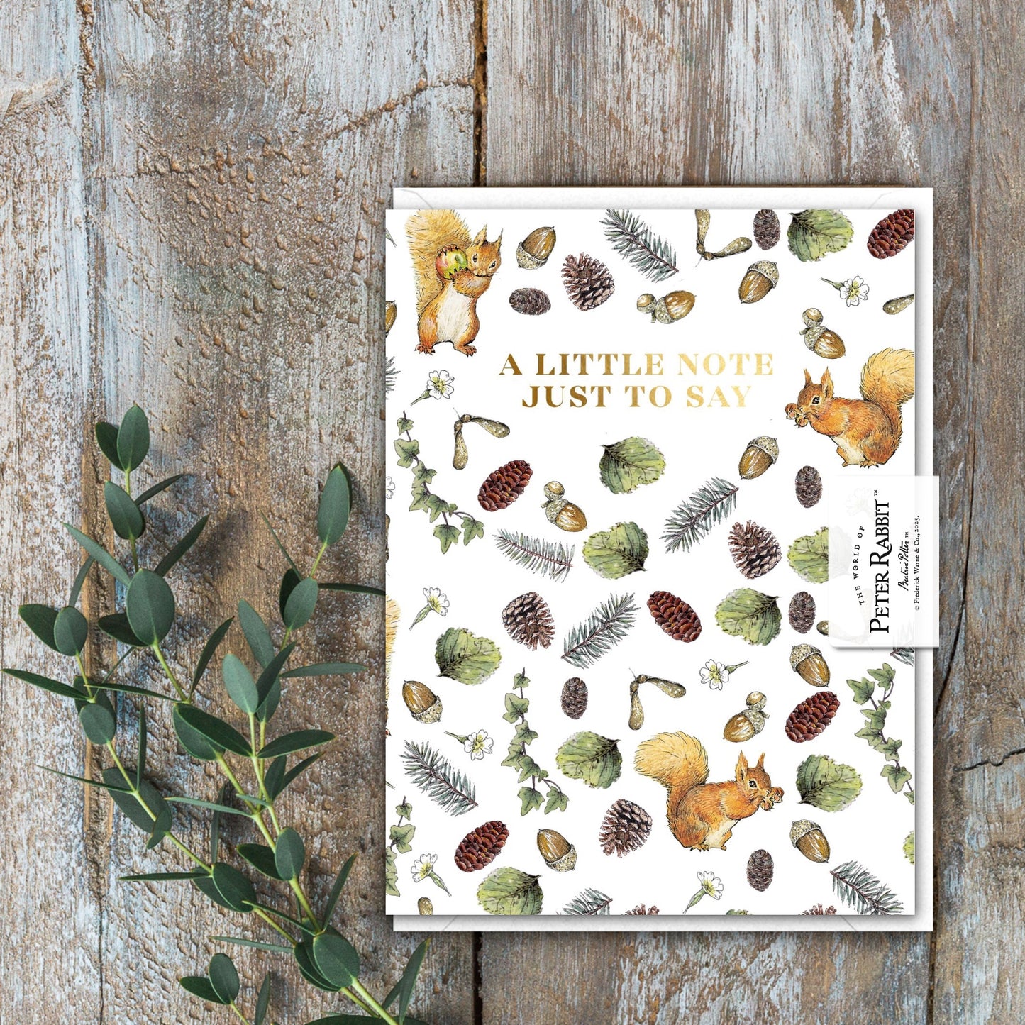 A Little Note Just To Say (Squirrel Nutkin) Card (Cello-Free)