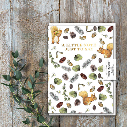 A Little Note Just To Say (Squirrel Nutkin) Card (Cello-Free)