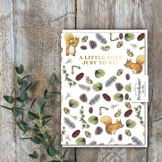 A Little Note Just To Say (Squirrel Nutkin) Card (Cello-Free)