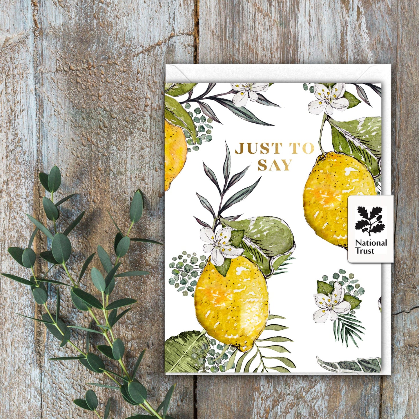 NEW! Just to Say (Lemons Pure) Card (Cello-Free) (available for dispatch from Jan 2026)