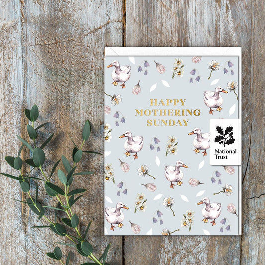 Happy Mothering Sunday (Ducks) Card (Cello-Free)