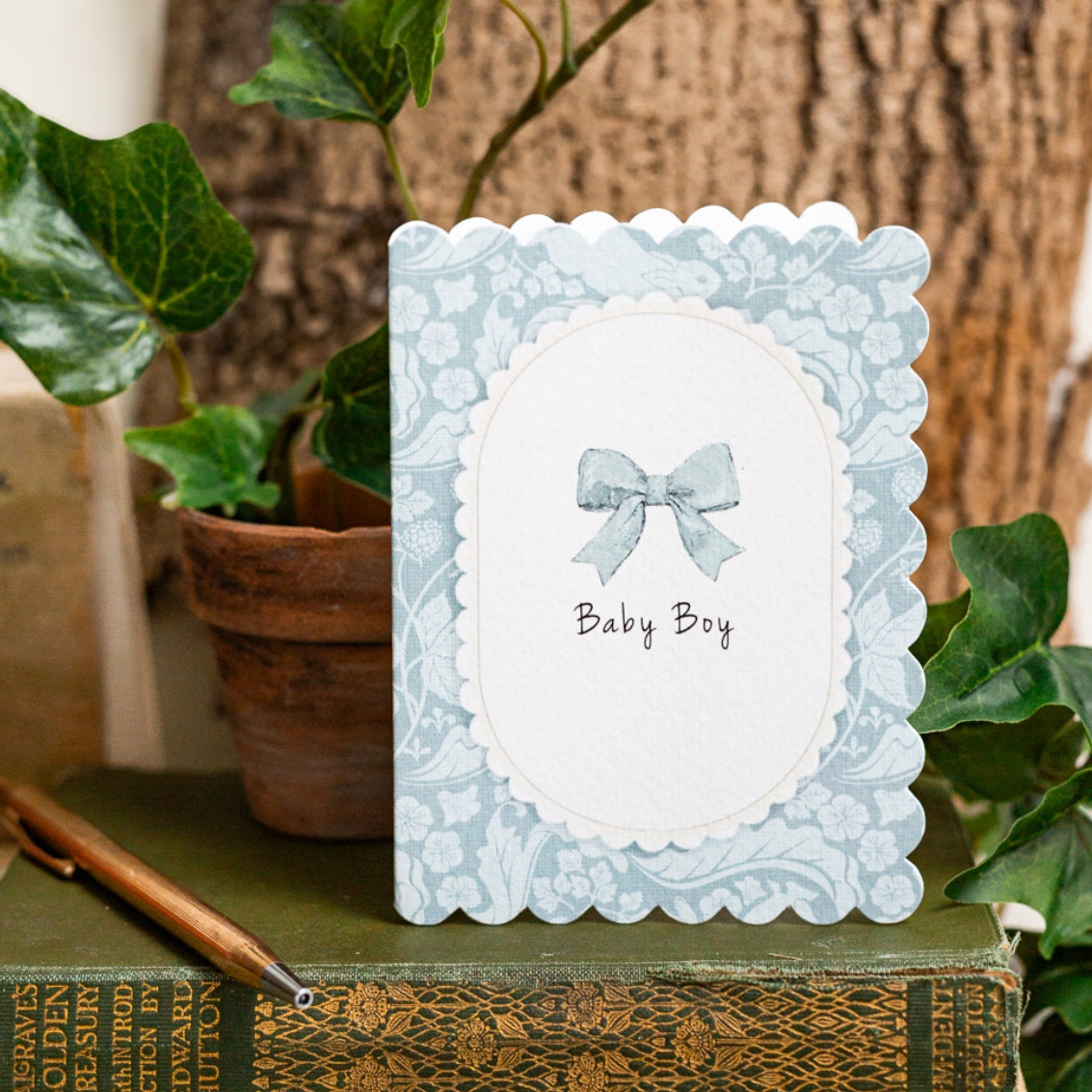 NEW! Baby Boy (The Vegetable Thief Blue) Card (Cello-Free)
