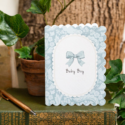 NEW! Baby Boy (The Vegetable Thief Blue) Card (Cello-Free)