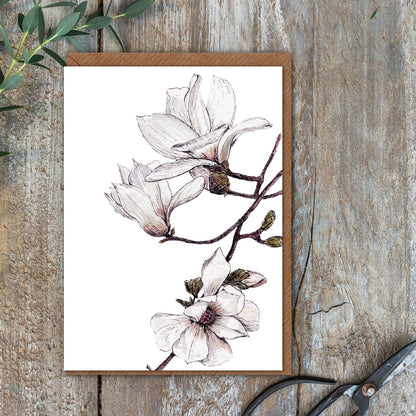 "The Blanc Collection" Boxed Set of 8 Mixed Notecards