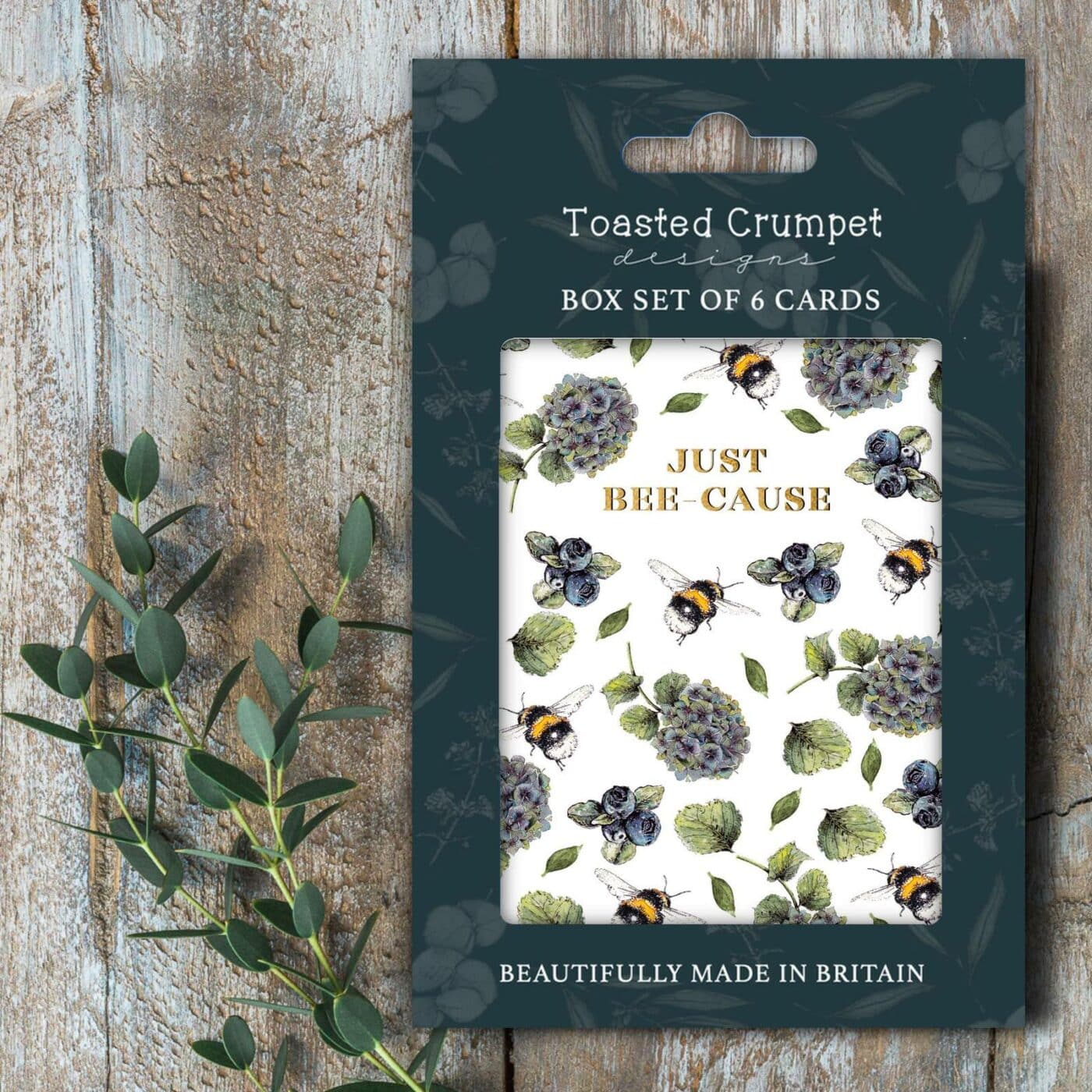 Just Bee-Cause (Hydrangea & Bee Pure) Set of 6 Cards