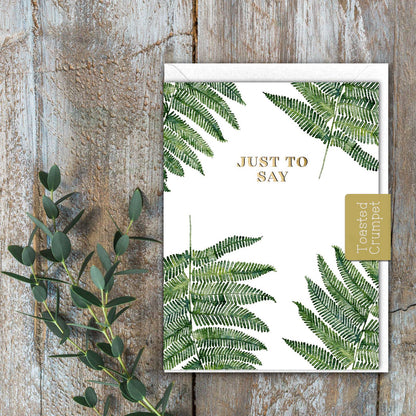 Just to Say (Fern Pure) Set of 6 Cards