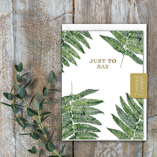 Just to Say (Fern Pure) Card (Cello-Free)