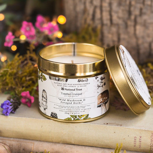 Wild Mushroom & Foraged Herbs Candle in a Matt Gold Tin