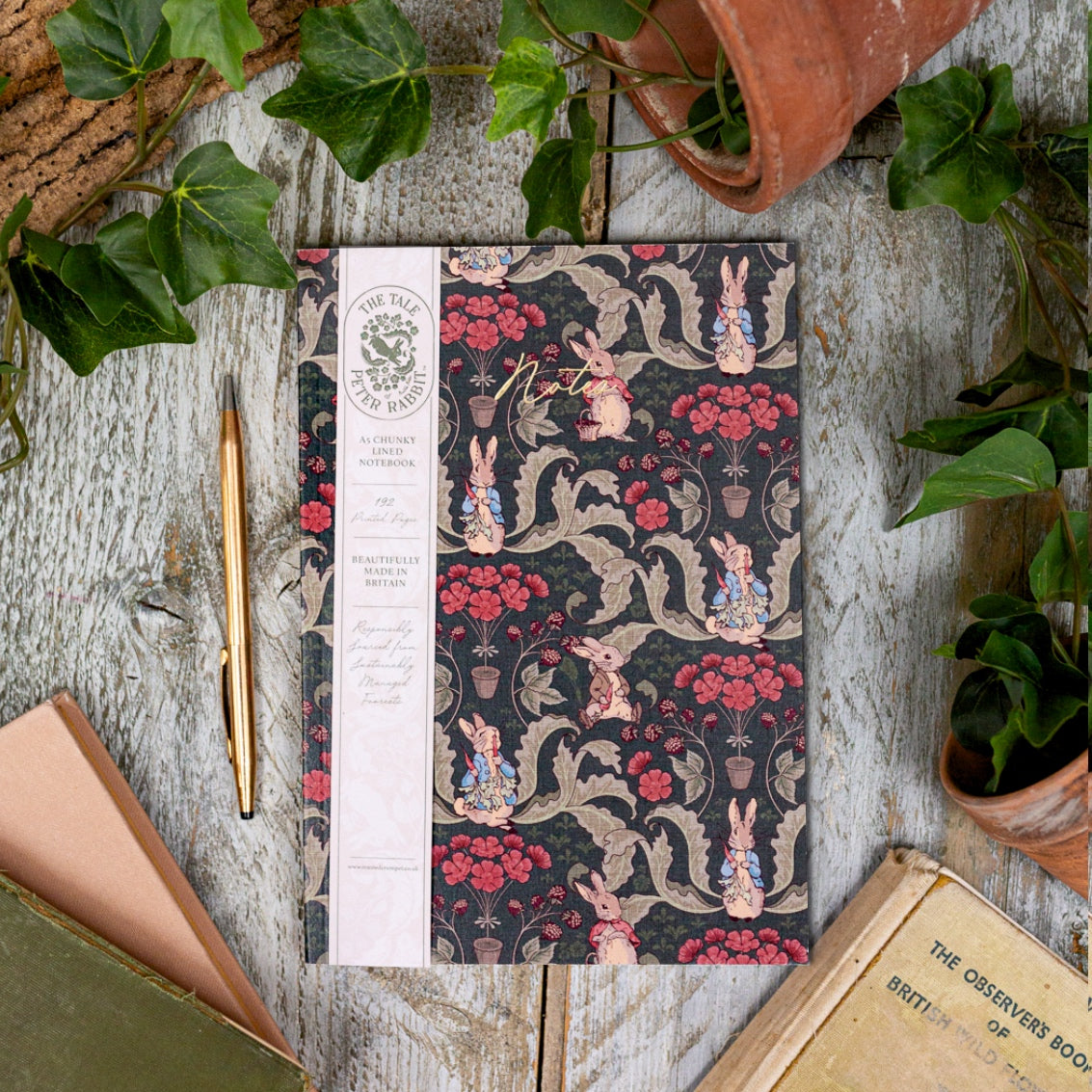 NEW! Peter Rabbit "The Vegetable Thief" (Noir) A5 Chunky Notebook