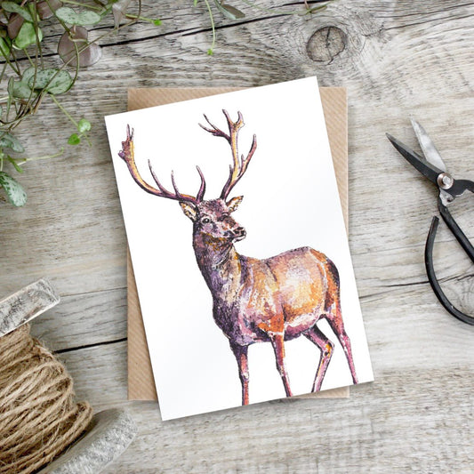 Antlers at Dusk Stag Card (Cello-Free)