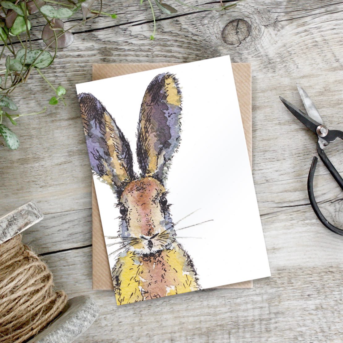 "Spring to Summer" Boxed Set of 8 Mixed Notecards