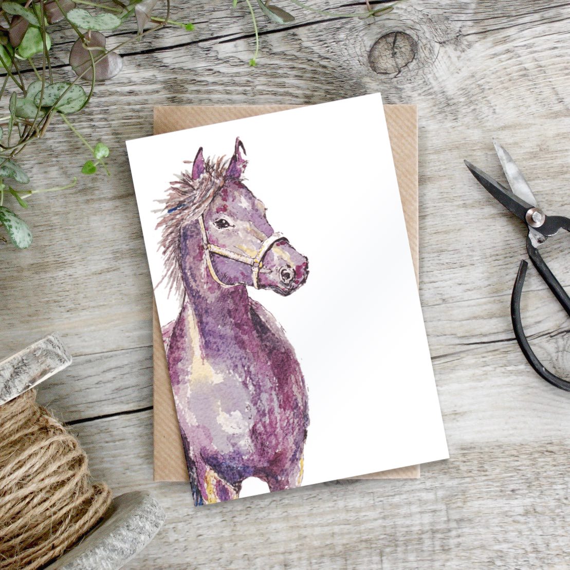 "Spring to Summer" Boxed Set of 8 Mixed Notecards