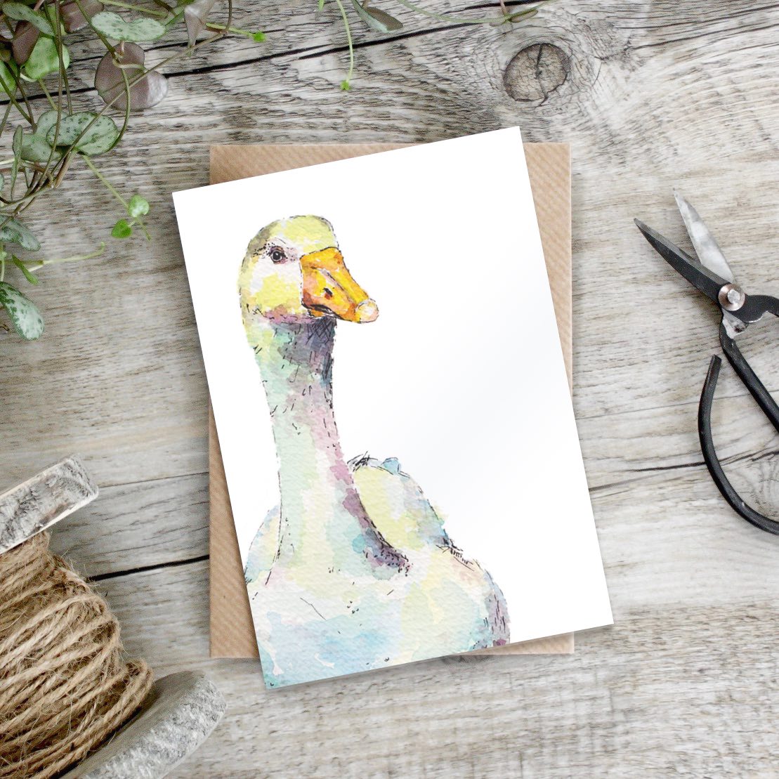 "Spring to Summer" Boxed Set of 8 Mixed Notecards