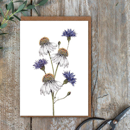 "The Regency Garden Collection Pretty Posies" Boxed Set of 8 Mixed Notecards