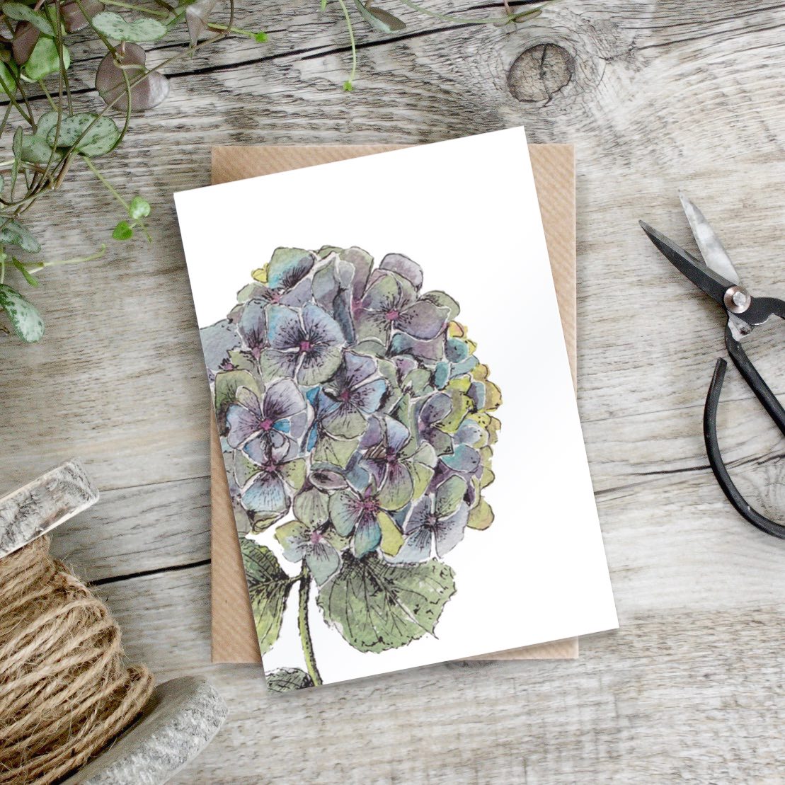 "Spring to Summer" Boxed Set of 8 Mixed Notecards