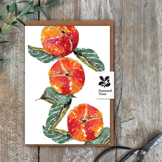 NEW! Peaches Card (Cello-Free)