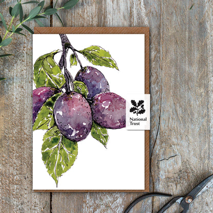 NEW! Plum Card (Cello-Free)