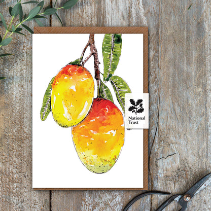 NEW! Mango Card (Cello-Free)