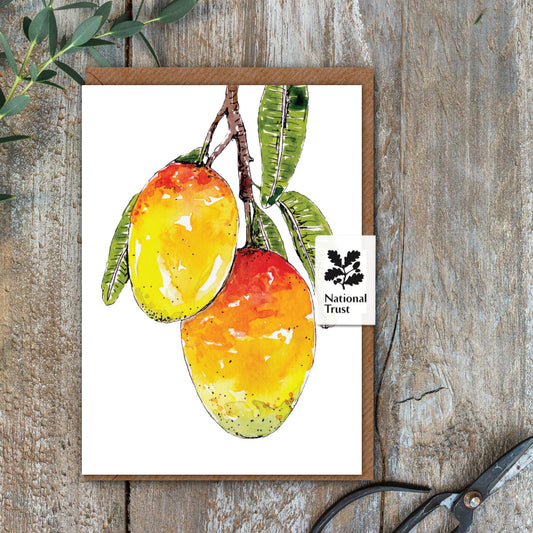 NEW! Mango Card (Cello-Free)
