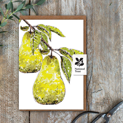 NEW! Pears Card (Cello-Free)